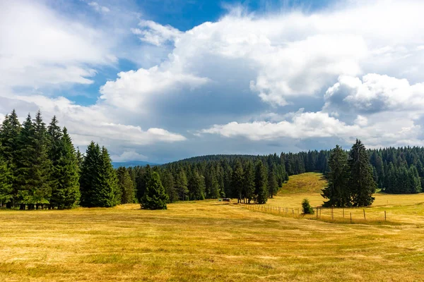 Summer Discovery Tour Thuringian Forest Brotterode Thuringia — 图库照片