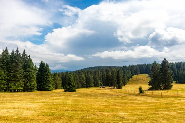 Summer Discovery Tour Thuringian Forest Brotterode Thuringia — Stockfoto