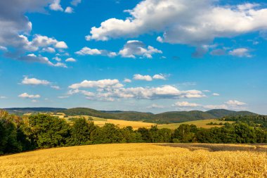 Summer discovery tour through the Thuringian Forest near Brotterode - Thuringia
