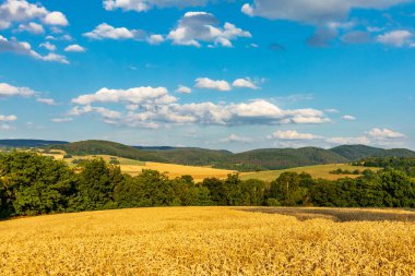 Summer discovery tour through the Thuringian Forest near Brotterode - Thuringia