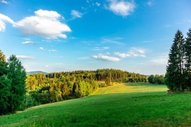 Summer discovery tour through the Thuringian Forest near Brotterode - Thuringia