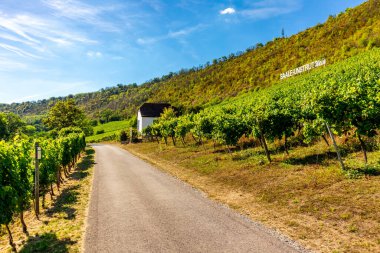 Short stop at the wine mile between Saxony and Thuringia near Naumburg - Saxony - Germany