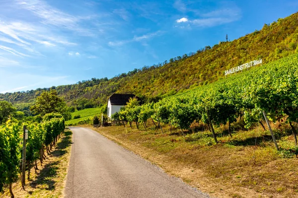 Short Stop Wine Mile Saxony Thuringia Naumburg Saxony Germany — стоковое фото