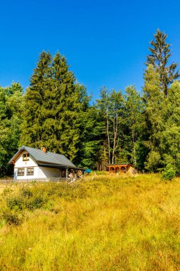 Summer hike along the Rennsteig between Brotterode and Eisenach in beautiful sunshine - Thuringia - Germany
