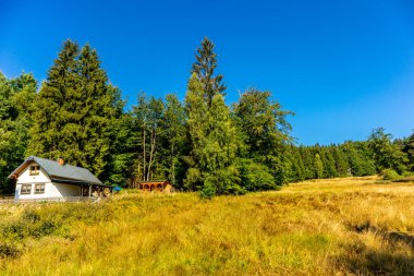Summer hike along the Rennsteig between Brotterode and Eisenach in beautiful sunshine - Thuringia - Germany