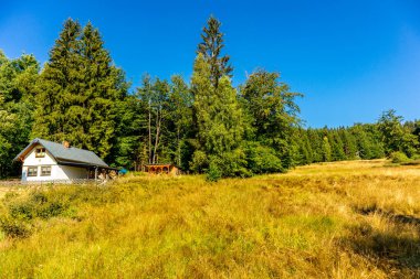 Summer hike along the Rennsteig between Brotterode and Eisenach in beautiful sunshine - Thuringia - Germany