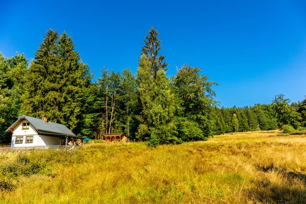Summer hike along the Rennsteig between Brotterode and Eisenach in beautiful sunshine - Thuringia - Germany