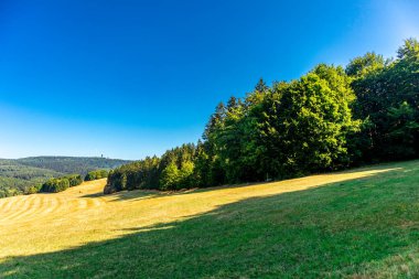 Summer hike along the Rennsteig between Brotterode and Eisenach in beautiful sunshine - Thuringia - Germany