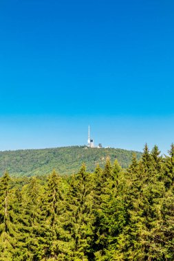 Summer hike along the Rennsteig between Brotterode and Eisenach in beautiful sunshine - Thuringia - Germany