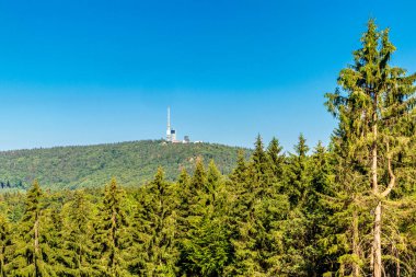 Summer hike along the Rennsteig between Brotterode and Eisenach in beautiful sunshine - Thuringia - Germany