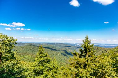 Summer hike along the Rennsteig between Brotterode and Eisenach in beautiful sunshine - Thuringia - Germany