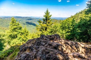 Summer hike along the Rennsteig between Brotterode and Eisenach in beautiful sunshine - Thuringia - Germany