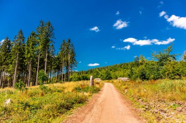 Summer hike along the Rennsteig between Brotterode and Eisenach in beautiful sunshine - Thuringia - Germany