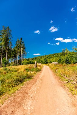 Summer hike along the Rennsteig between Brotterode and Eisenach in beautiful sunshine - Thuringia - Germany