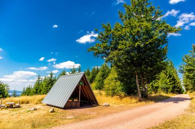Summer hike along the Rennsteig between Brotterode and Eisenach in beautiful sunshine - Thuringia - Germany