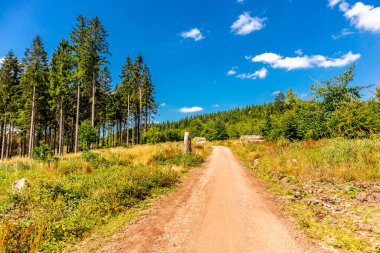 Summer hike along the Rennsteig between Brotterode and Eisenach in beautiful sunshine - Thuringia - Germany