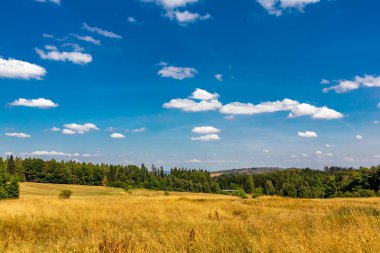 Summer hike along the Rennsteig between Brotterode and Eisenach in beautiful sunshine - Thuringia - Germany