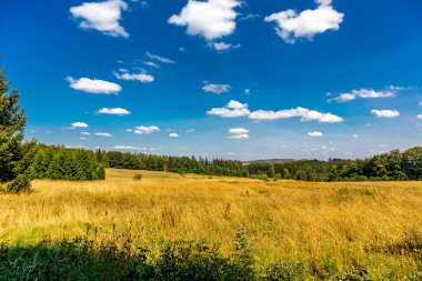Summer hike along the Rennsteig between Brotterode and Eisenach in beautiful sunshine - Thuringia - Germany
