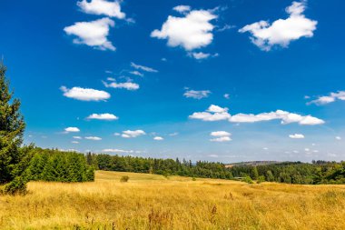 Summer hike along the Rennsteig between Brotterode and Eisenach in beautiful sunshine - Thuringia - Germany