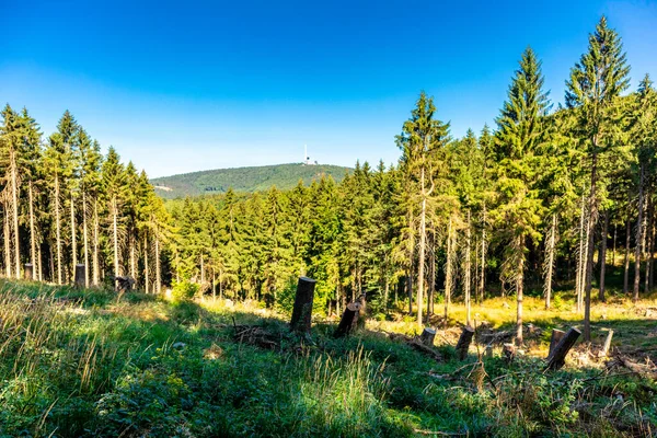 Summer Hike Rennsteig Brotterode Eisenach Beautiful Sunshine Thuringia Germany — Stockfoto