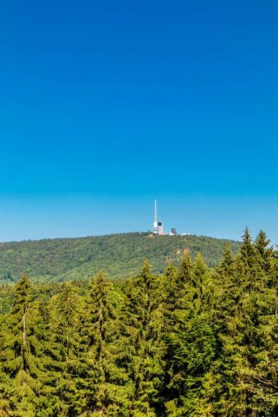Summer hike along the Rennsteig between Brotterode and Eisenach in beautiful sunshine - Thuringia - Germany