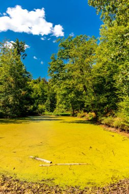 Summer walk around the Wartburg town of Eisenach on the edge of the Thuringian Forest - Thuringia - Germany