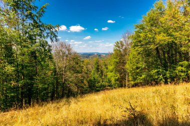 Summer walk around the Wartburg town of Eisenach on the edge of the Thuringian Forest - Thuringia - Germany