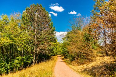 Summer walk around the Wartburg town of Eisenach on the edge of the Thuringian Forest - Thuringia - Germany