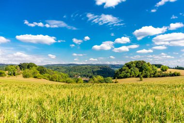 Summer walk around the Wartburg town of Eisenach on the edge of the Thuringian Forest - Thuringia - Germany