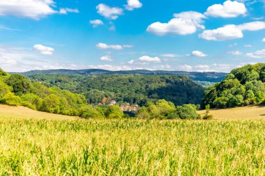 Summer walk around the Wartburg town of Eisenach on the edge of the Thuringian Forest - Thuringia - Germany