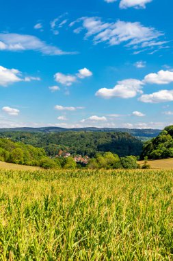 Summer walk around the Wartburg town of Eisenach on the edge of the Thuringian Forest - Thuringia - Germany