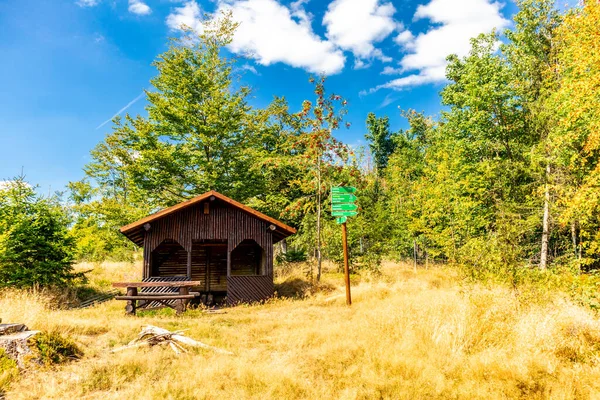 Summer walk around the Wartburg town of Eisenach on the edge of the Thuringian Forest - Thuringia - Germany