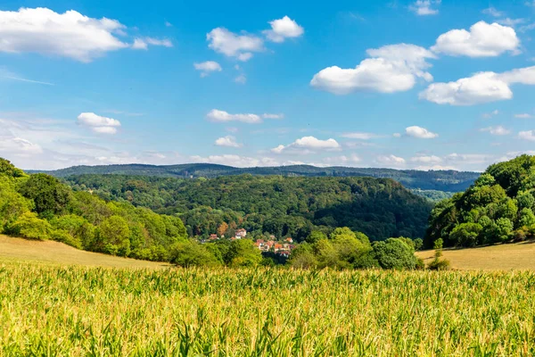 Summer Walk Wartburg Town Eisenach Edge Thuringian Forest Thuringia Germany — 图库照片