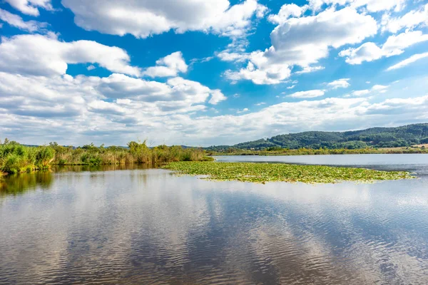 Summer Exploring Tour Beautiful Werratal Breitungen Seeblick — Foto Stock