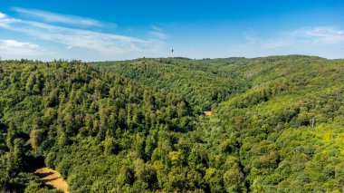 Rennsteig 'de yaz sonu yürüyüşü güzel bir güneş ışığı altında - Almanya