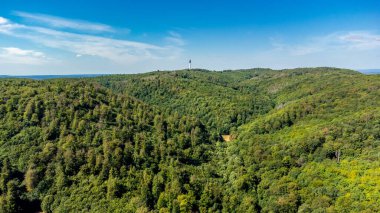 Rennsteig 'de yaz sonu yürüyüşü güzel bir güneş ışığı altında - Almanya