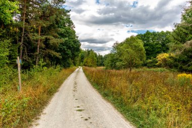 Ilmenau yakınlarındaki Heyda barajında yürü - Thüringen - Almanya