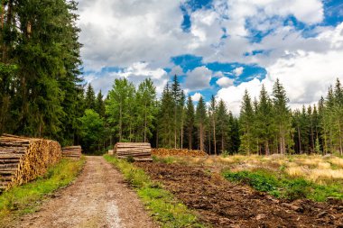 Ilmenau yakınlarındaki Heyda barajında yürü - Thüringen - Almanya