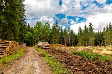 Ilmenau yakınlarındaki Heyda barajında yürü - Thüringen - Almanya