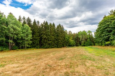 Ilmenau yakınlarındaki Heyda barajında yürü - Thüringen - Almanya
