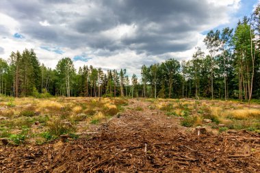 Ilmenau yakınlarındaki Heyda barajında yürü - Thüringen - Almanya