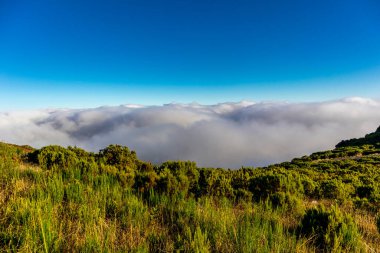 Azores 'in Madeira adasındaki en yüksek noktaya yürü Pico Ruivo - Portekiz