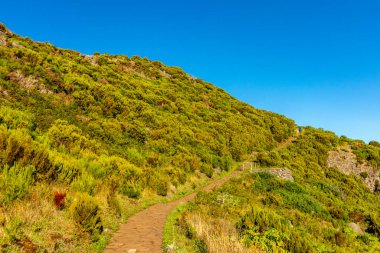 Azores 'in Madeira adasındaki en yüksek noktaya yürü Pico Ruivo - Portekiz