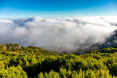 Azores 'in Madeira adasındaki en yüksek noktaya yürü Pico Ruivo - Portekiz