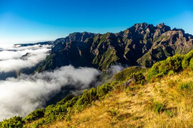 Azores 'in Madeira adasındaki en yüksek noktaya yürü Pico Ruivo - Portekiz