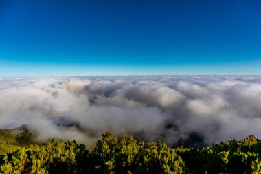 Azores 'in Madeira adasındaki en yüksek noktaya yürü Pico Ruivo - Portekiz