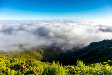 Azores 'in Madeira adasındaki en yüksek noktaya yürü Pico Ruivo - Portekiz