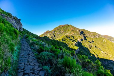 Azores 'in Madeira adasındaki en yüksek noktaya yürü Pico Ruivo - Portekiz