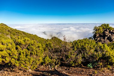 Azores 'in Madeira adasındaki en yüksek noktaya yürü Pico Ruivo - Portekiz