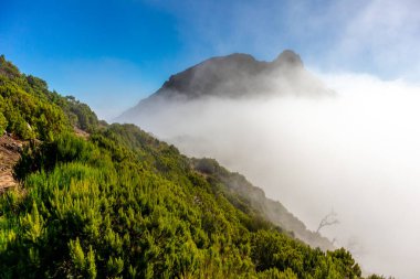 Azores 'in Madeira adasındaki en yüksek noktaya yürü Pico Ruivo - Portekiz
